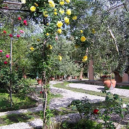 Lidia Bed & Breakfast Sorrento